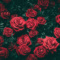 किस्मत से जुड़ा होता है गुलाब का फूल, वास्तु के ये उपाय बनाएंगे आपको धनवान
