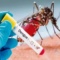 Kolkata on Dengue & Viral Fever Alert : डेंगू और वायरल फीवर की दोहरी मार झेल रहे हैं कोलकाता के लोग
