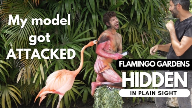 Flamingo Attack Video : जब हंसनी से रोमांस करने आया हंस, सूंघते ही…