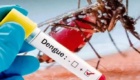 बच्चे को जन्म देने के एक सप्ताह बाद महिला की डेंगू से मौत