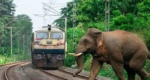 अब ‘गजराज’ तकनीक से रेलवे ट्रैक पर बचेगी हाथियों की जान